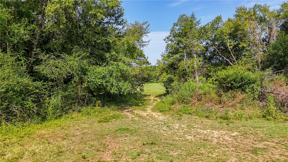 Square Rock Road Waldron, AR 72958 - Photo 16 of 16 Wooded perimeter with a central clearing and visible sky