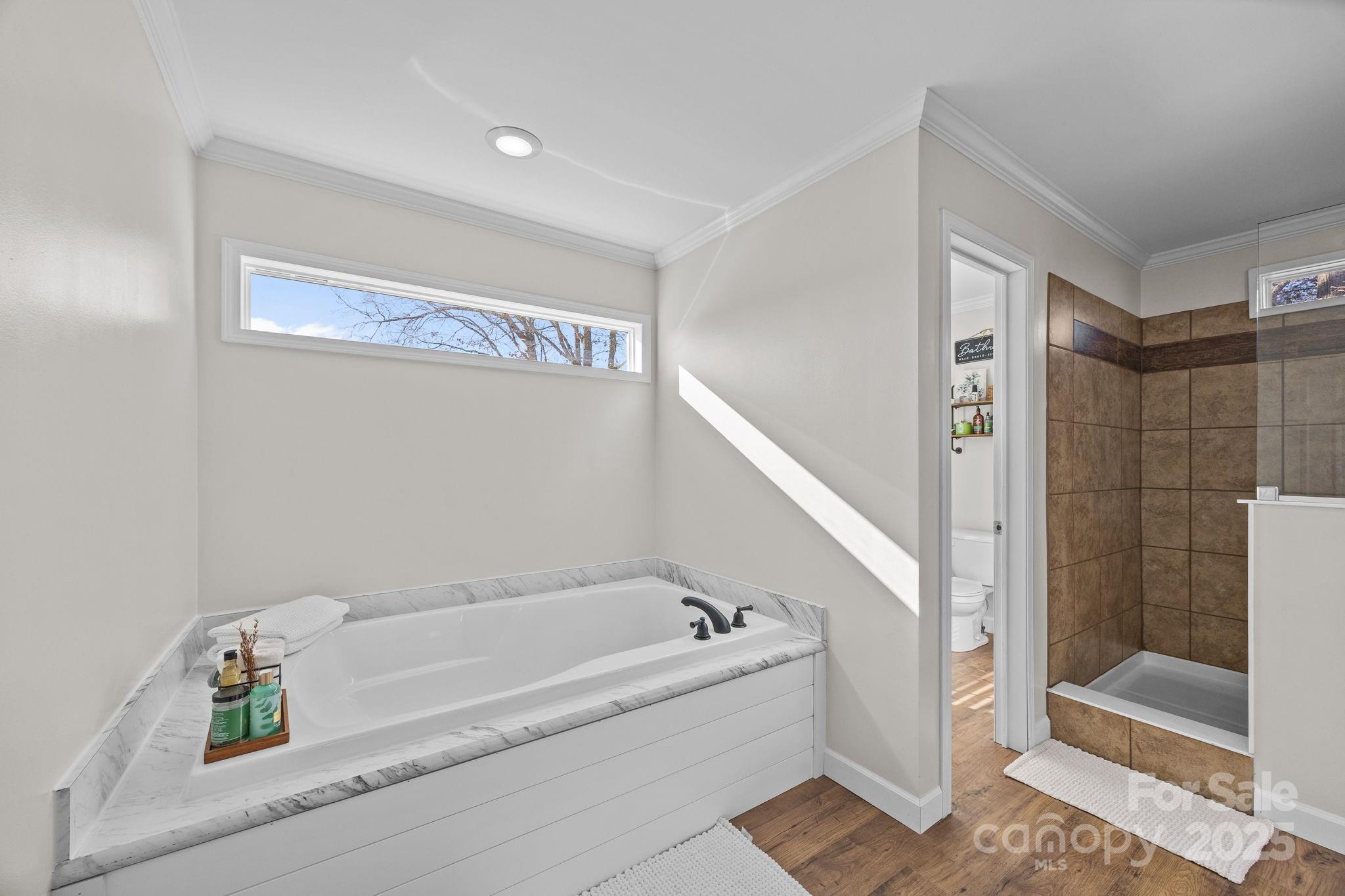 247 Aden Green Road Mill Spring, NC 28756 - Photo 27 of 48 a bathroom with a bathtub and shower