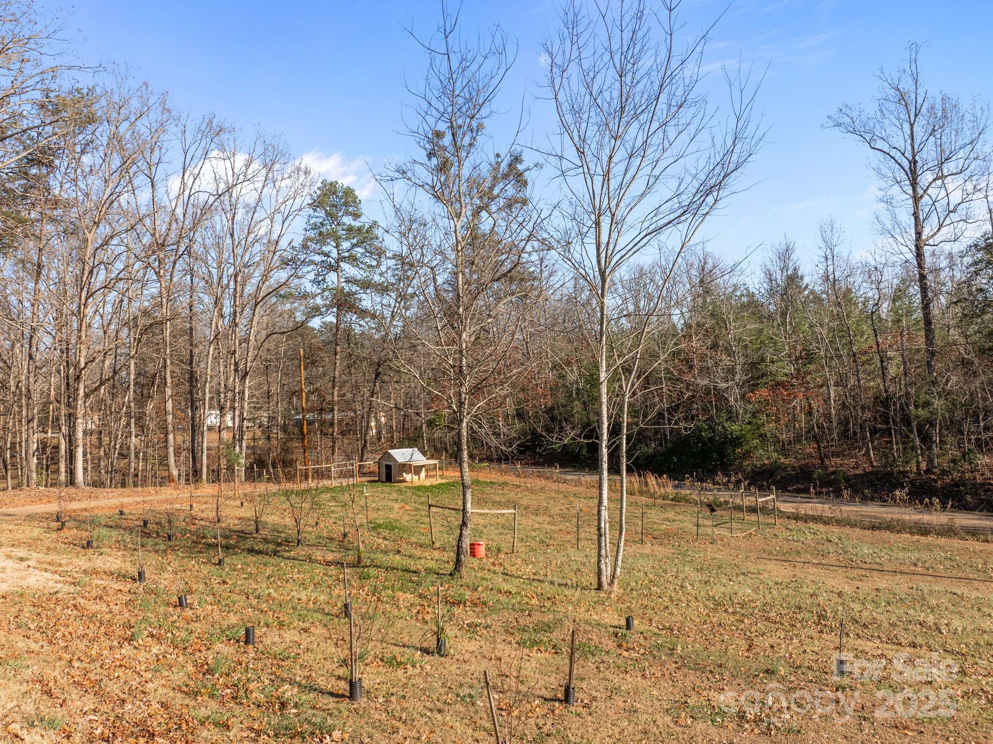 247 Aden Green Road Mill Spring, NC 28756 - Photo 40 of 48 a view of a yard with trees