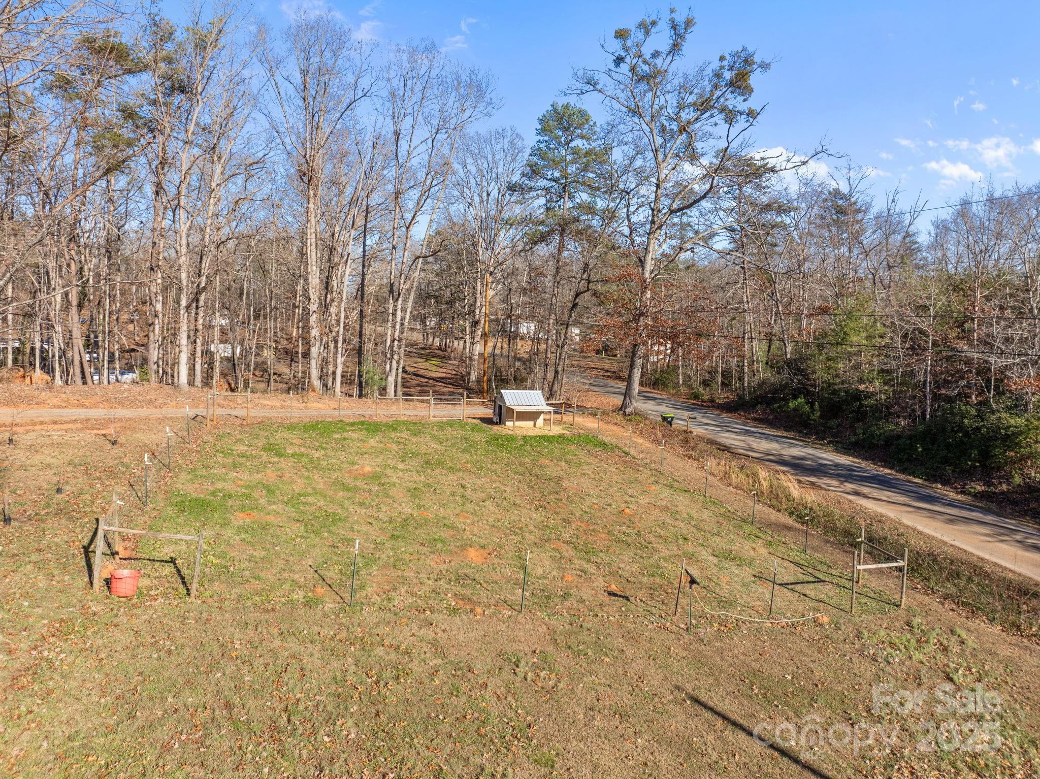 247 Aden Green Road Mill Spring, NC 28756 - Photo 41 of 48 a backyard of a house with trees