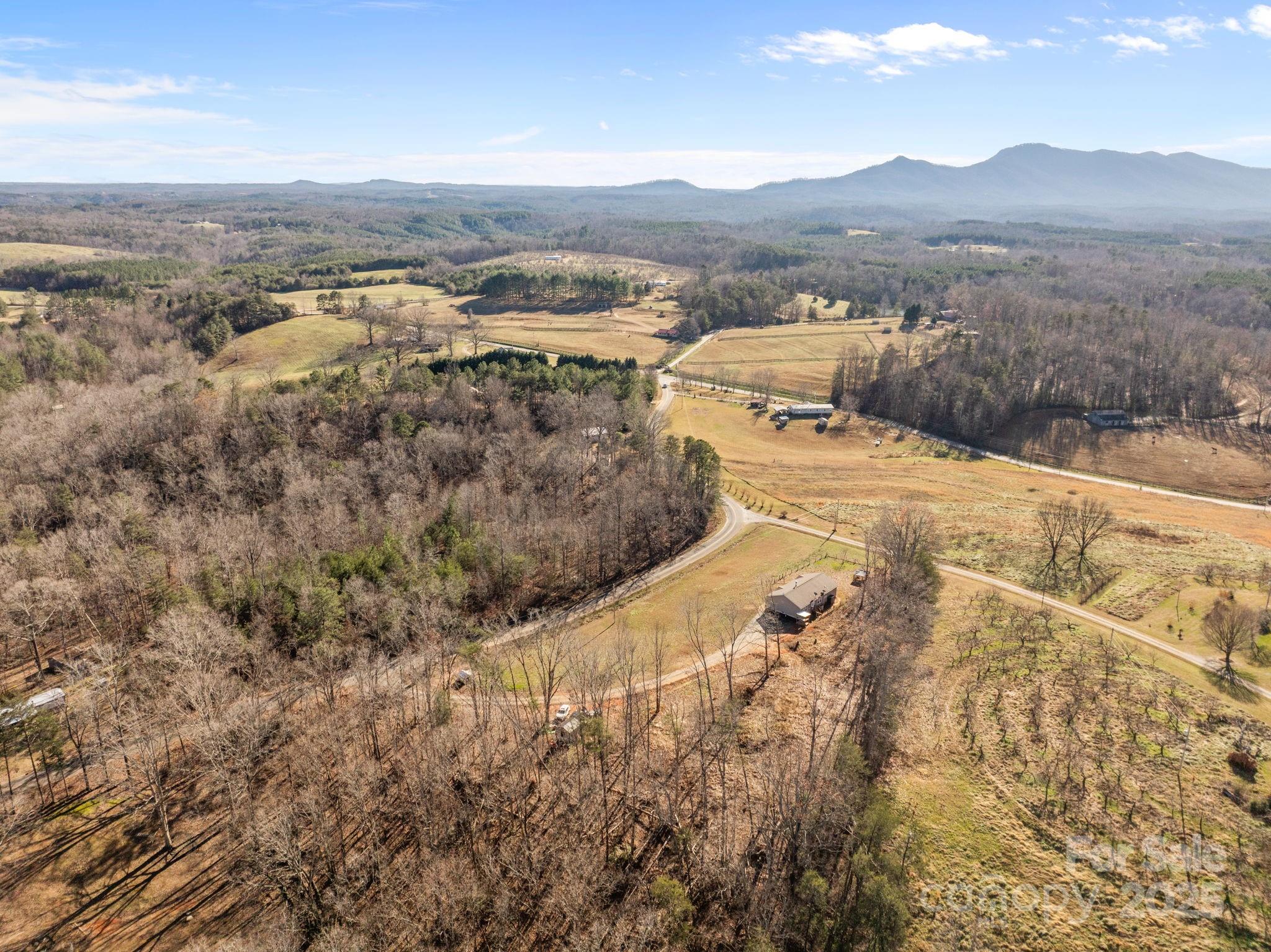 247 Aden Green Road Mill Spring, NC 28756 - Photo 48 of 48 a view of city and mountain