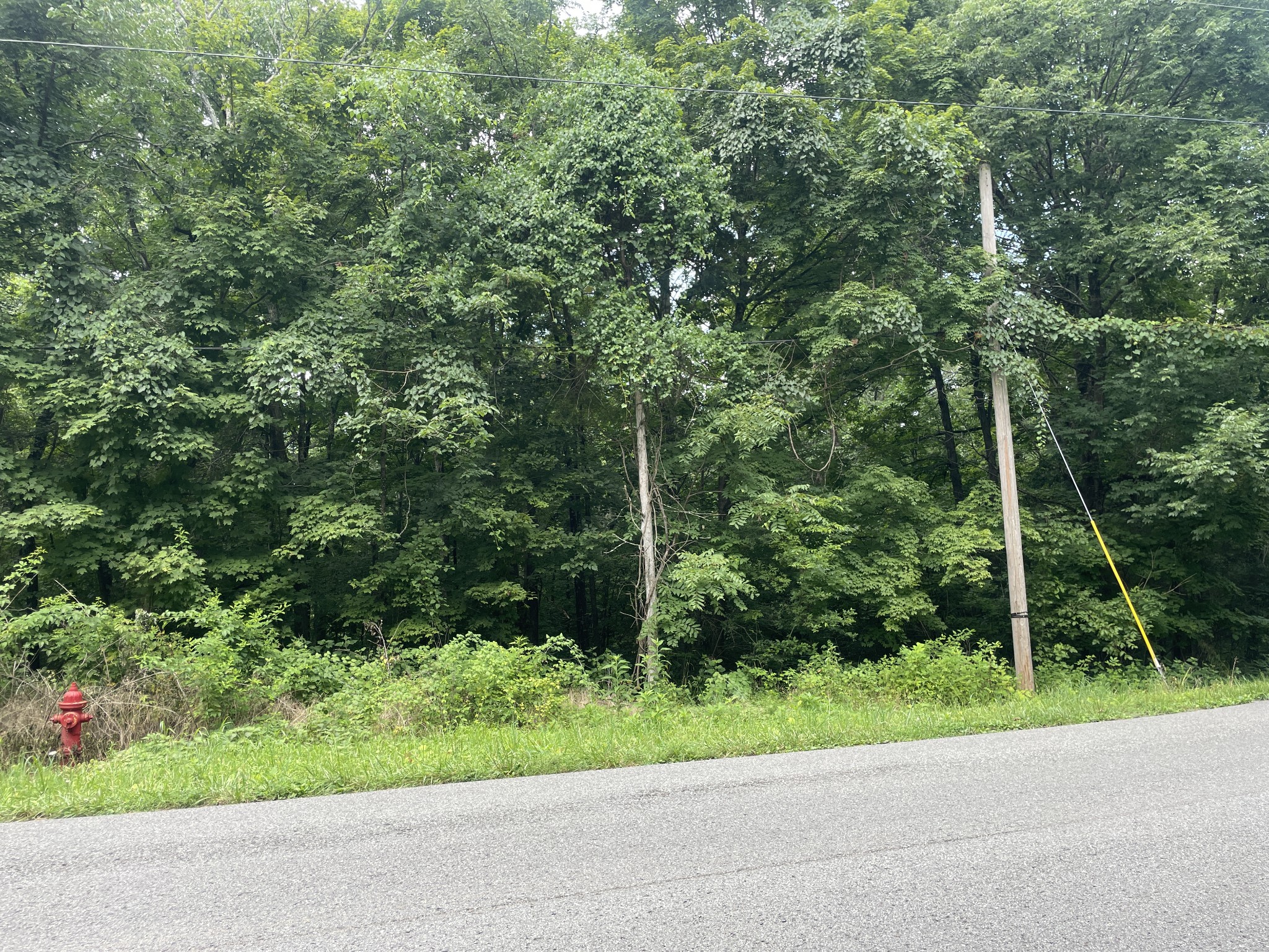 1535 Mt Olivet Road Hendersonville, TN 37075 - Photo 2 of 7