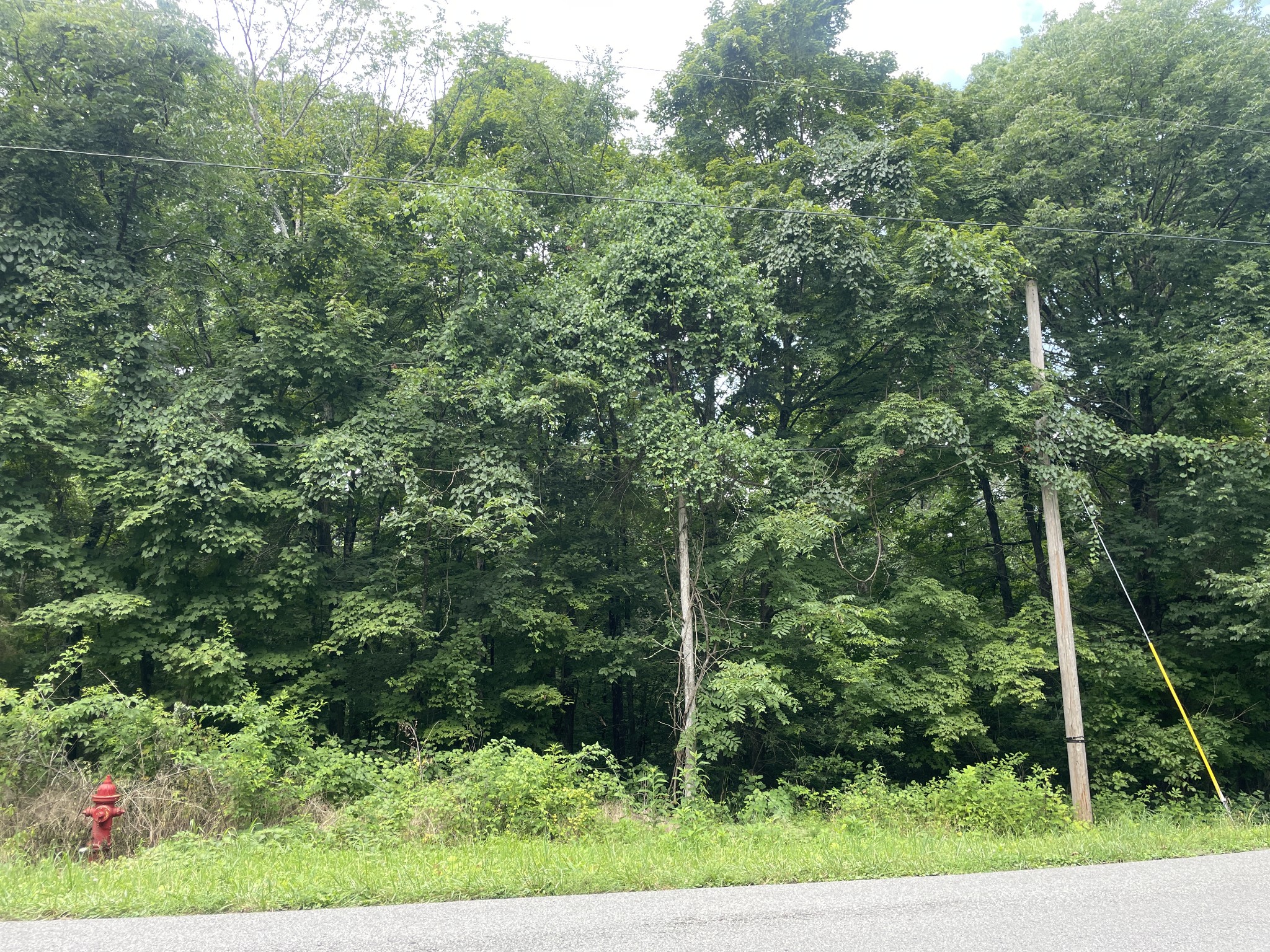 1535 Mt Olivet Road Hendersonville, TN 37075 - Photo 3 of 7