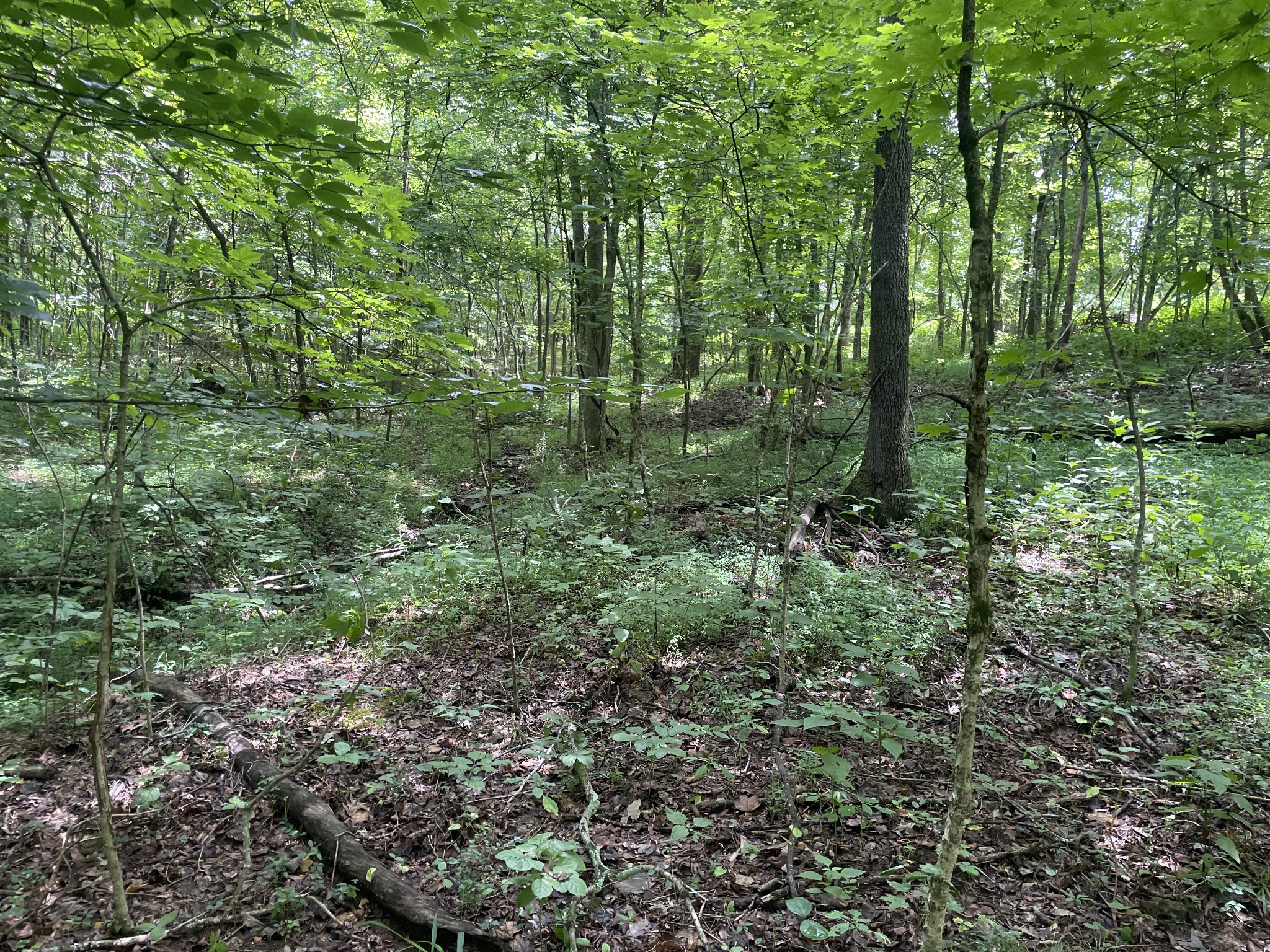 1535 Mt Olivet Road Hendersonville, TN 37075 - Photo 5 of 7