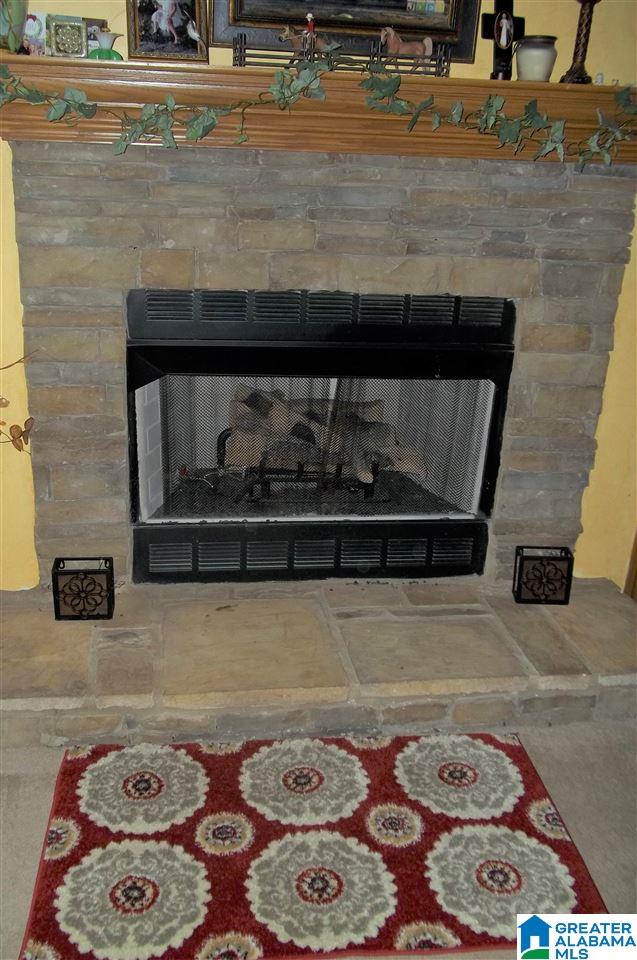 1131 Jones Chapel Loop Springville, AL 35146 - Photo 7 of 31