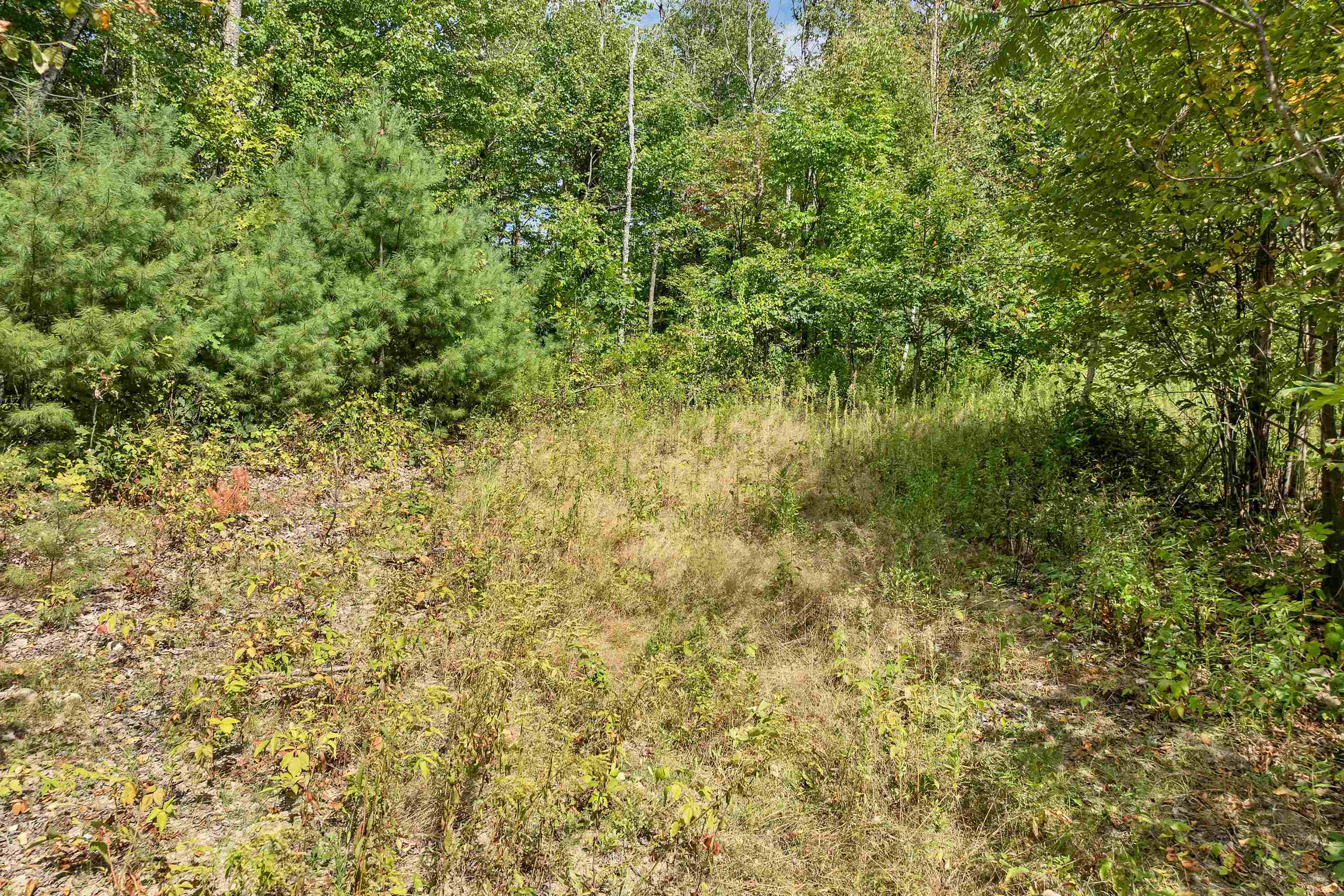 M1-l52s3 Garland Road Center Barnstead, NH 03225 - Photo 17 of 50