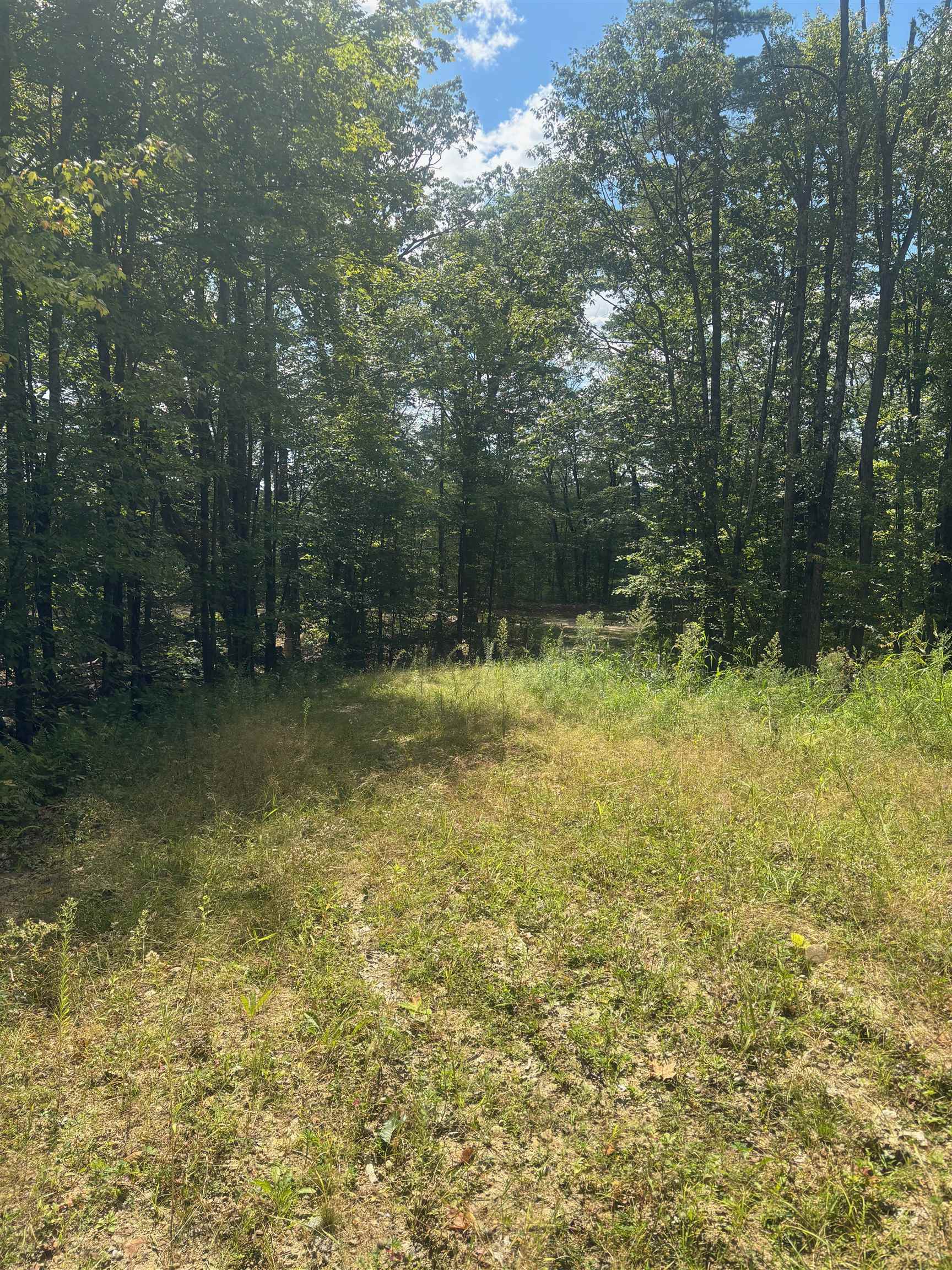 M1-l52s3 Garland Road Center Barnstead, NH 03225 - Photo 26 of 50