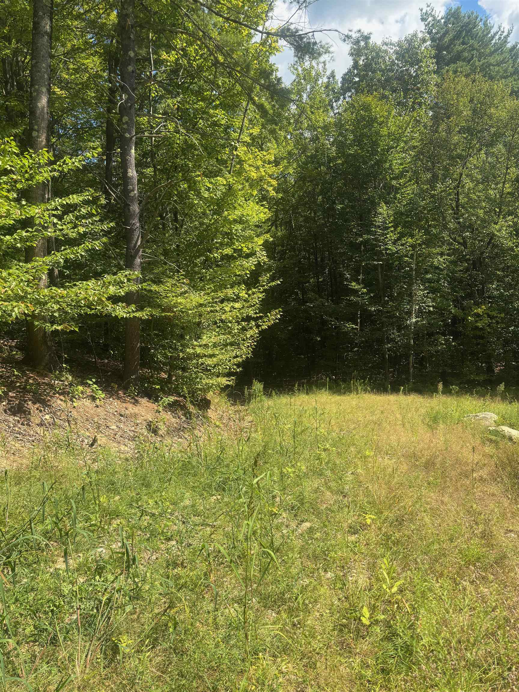 M1-l52s3 Garland Road Center Barnstead, NH 03225 - Photo 29 of 50