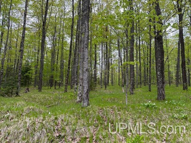 325 Mastodon Road Crystal Falls, MI 49920 - Photo 28 of 39