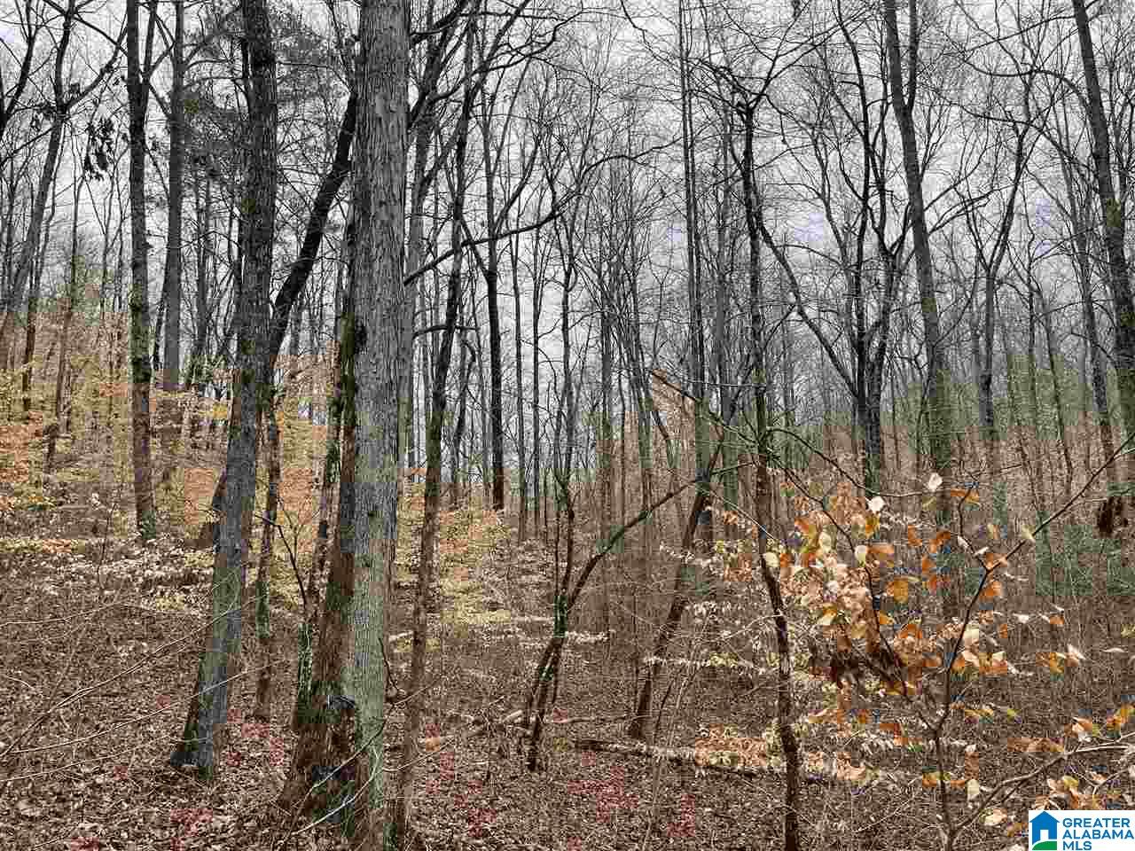 59 County Road, Unit 30 Heflin, AL 36264 - Photo 15 of 24