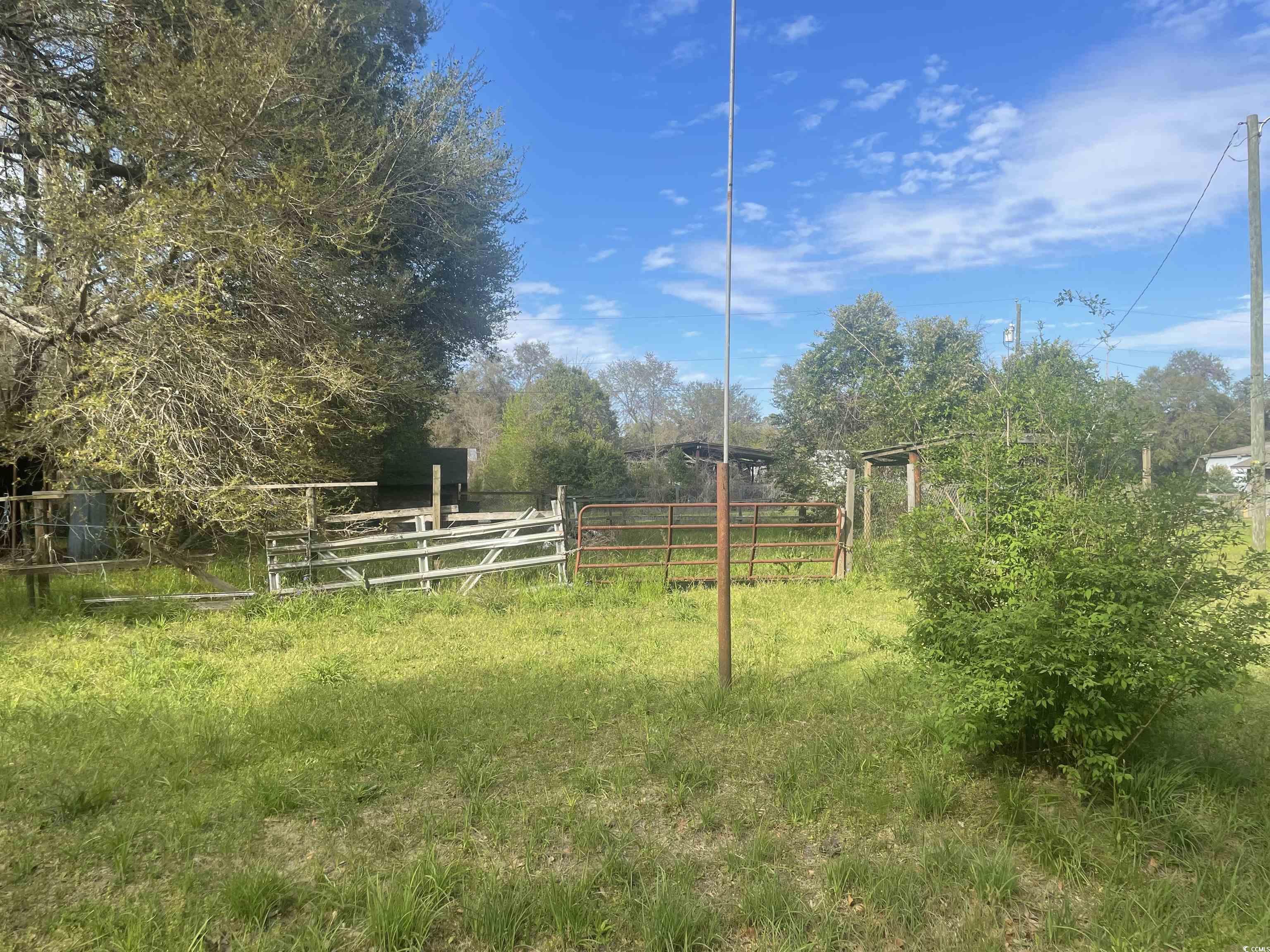 Tbd Tbd Harrelson Street Kingstree, SC 29556 - Photo 3 of 5