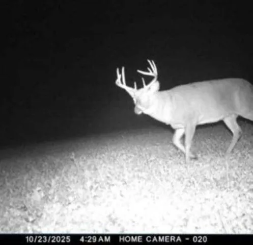 $699,000 | W17810 Eland Road, Wittenberg, WI 54499