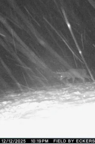 $699,000 | W17810 Eland Road, Wittenberg, WI 54499