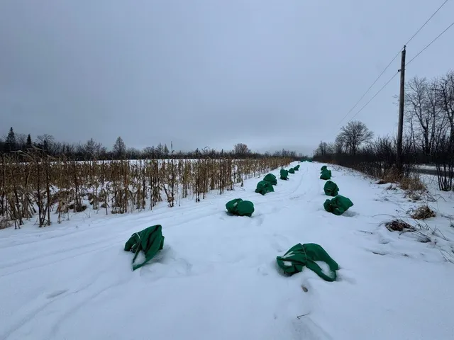 $699,000 | W17810 Eland Road, Wittenberg, WI 54499