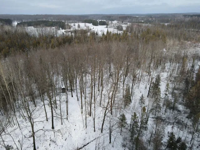 $699,000 | W17810 Eland Road, Wittenberg, WI 54499