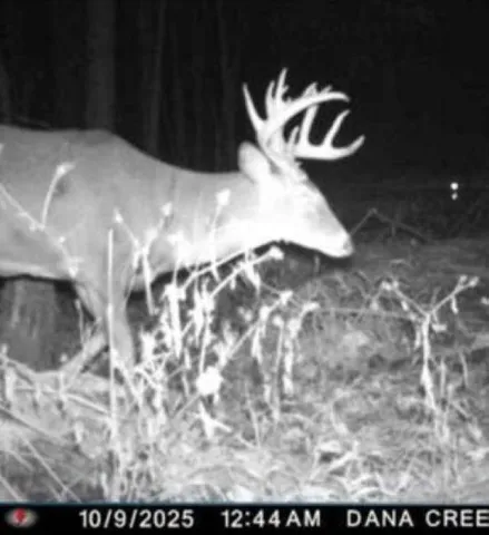 $699,000 | W17810 Eland Road, Wittenberg, WI 54499