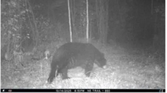 $699,000 | W17810 Eland Road, Wittenberg, WI 54499