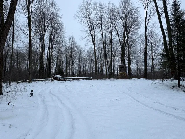 $699,000 | W17810 Eland Road, Wittenberg, WI 54499