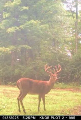 $699,000 | W17810 Eland Road, Wittenberg, WI 54499