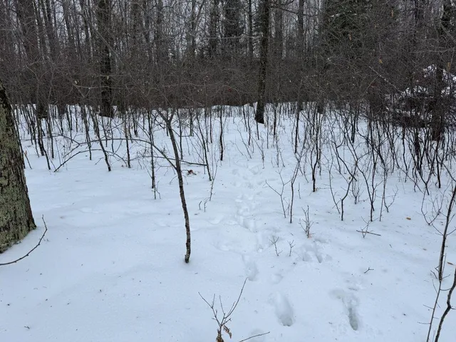 $699,000 | W17810 Eland Road, Wittenberg, WI 54499