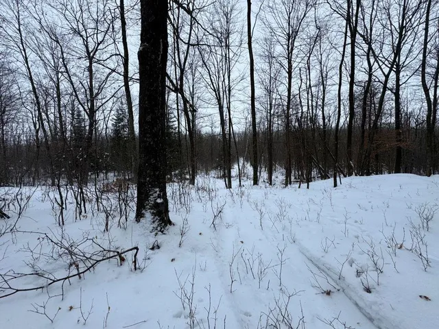 $699,000 | W17810 Eland Road, Wittenberg, WI 54499