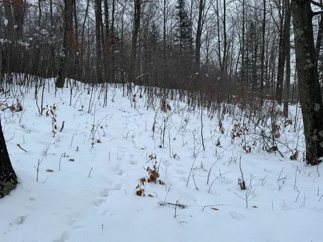 $699,000 | W17810 Eland Road, Wittenberg, WI 54499