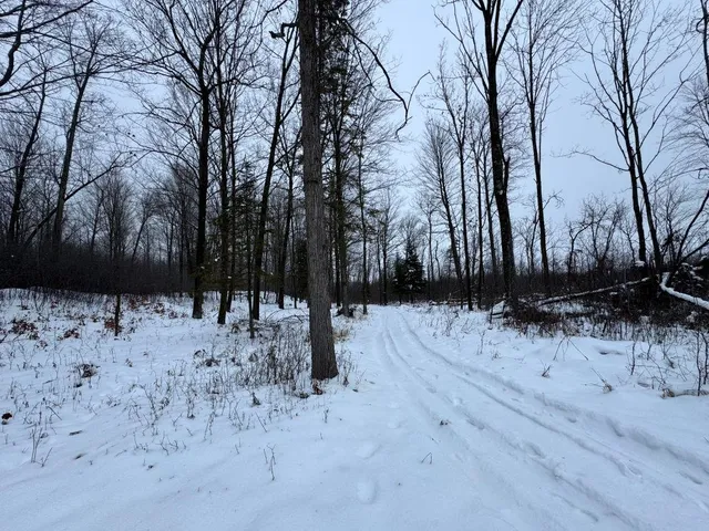 $699,000 | W17810 Eland Road, Wittenberg, WI 54499