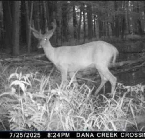 $699,000 | W17810 Eland Road, Wittenberg, WI 54499