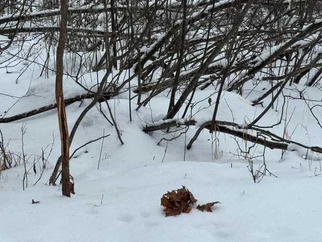 $699,000 | W17810 Eland Road, Wittenberg, WI 54499