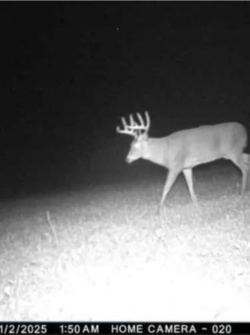 $699,000 | W17810 Eland Road, Wittenberg, WI 54499