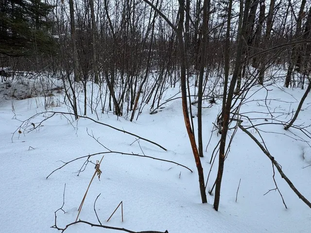 $699,000 | W17810 Eland Road, Wittenberg, WI 54499