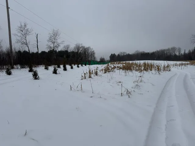 $699,000 | W17810 Eland Road, Wittenberg, WI 54499