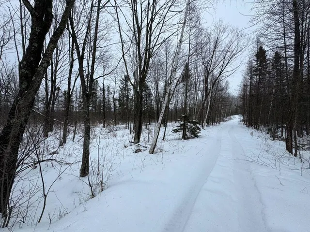 $699,000 | W17810 Eland Road, Wittenberg, WI 54499