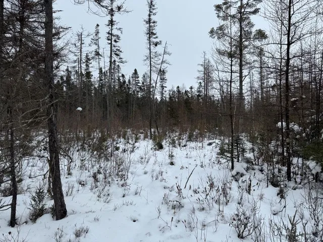 $699,000 | W17810 Eland Road, Wittenberg, WI 54499