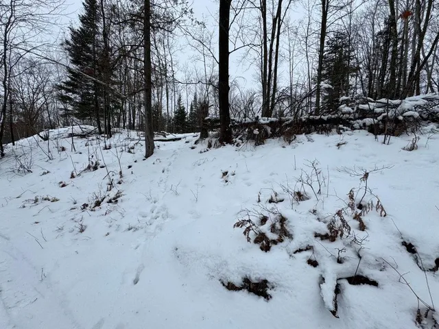 $699,000 | W17810 Eland Road, Wittenberg, WI 54499