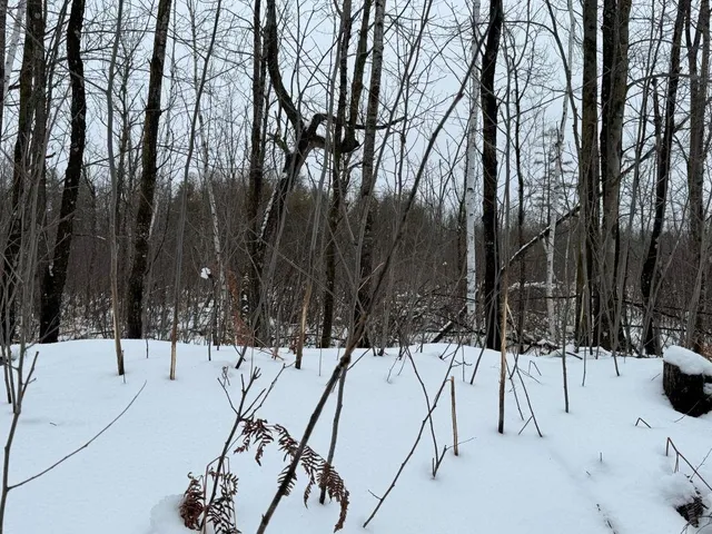 $699,000 | W17810 Eland Road, Wittenberg, WI 54499