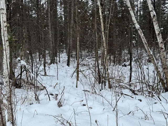 $699,000 | W17810 Eland Road, Wittenberg, WI 54499