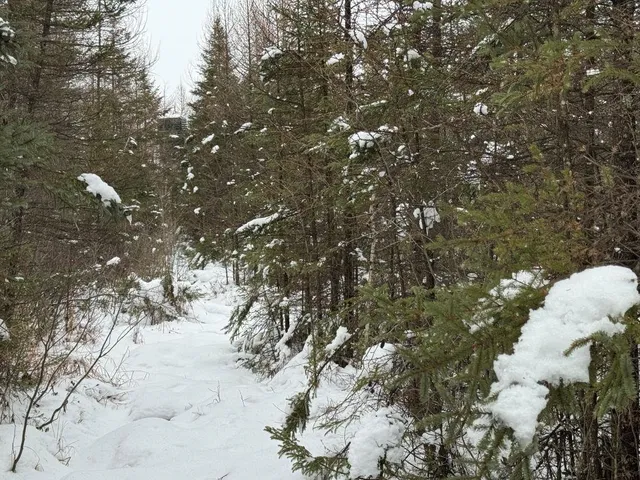 $699,000 | W17810 Eland Road, Wittenberg, WI 54499