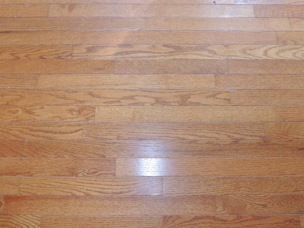 1550 South Williams Road Frankfort, IN 46041 - Photo 7 of 18 Gallery Image 7