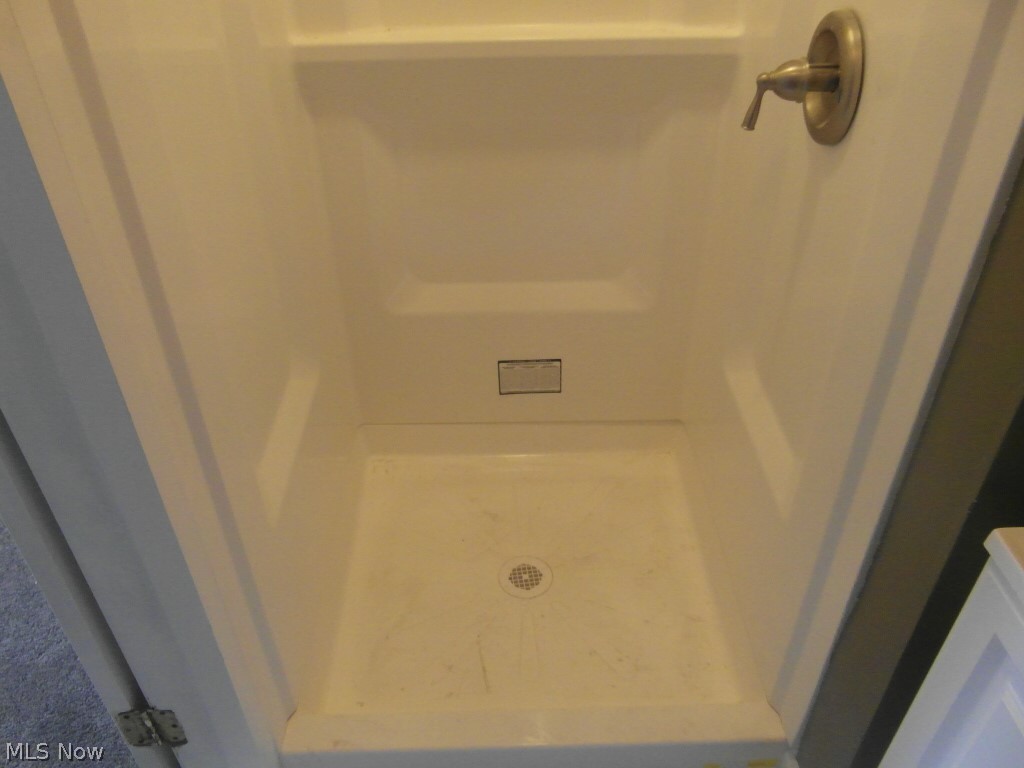 1222 Castleton Road Cleveland, OH 44121 - Photo 26 of 32 shower