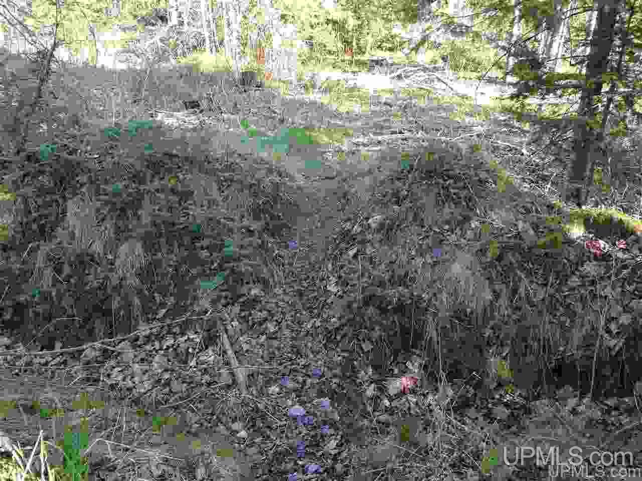Tbd Silver Falls Road Lanse, MI 49946 - Photo 14 of 19 Gallery Image 14