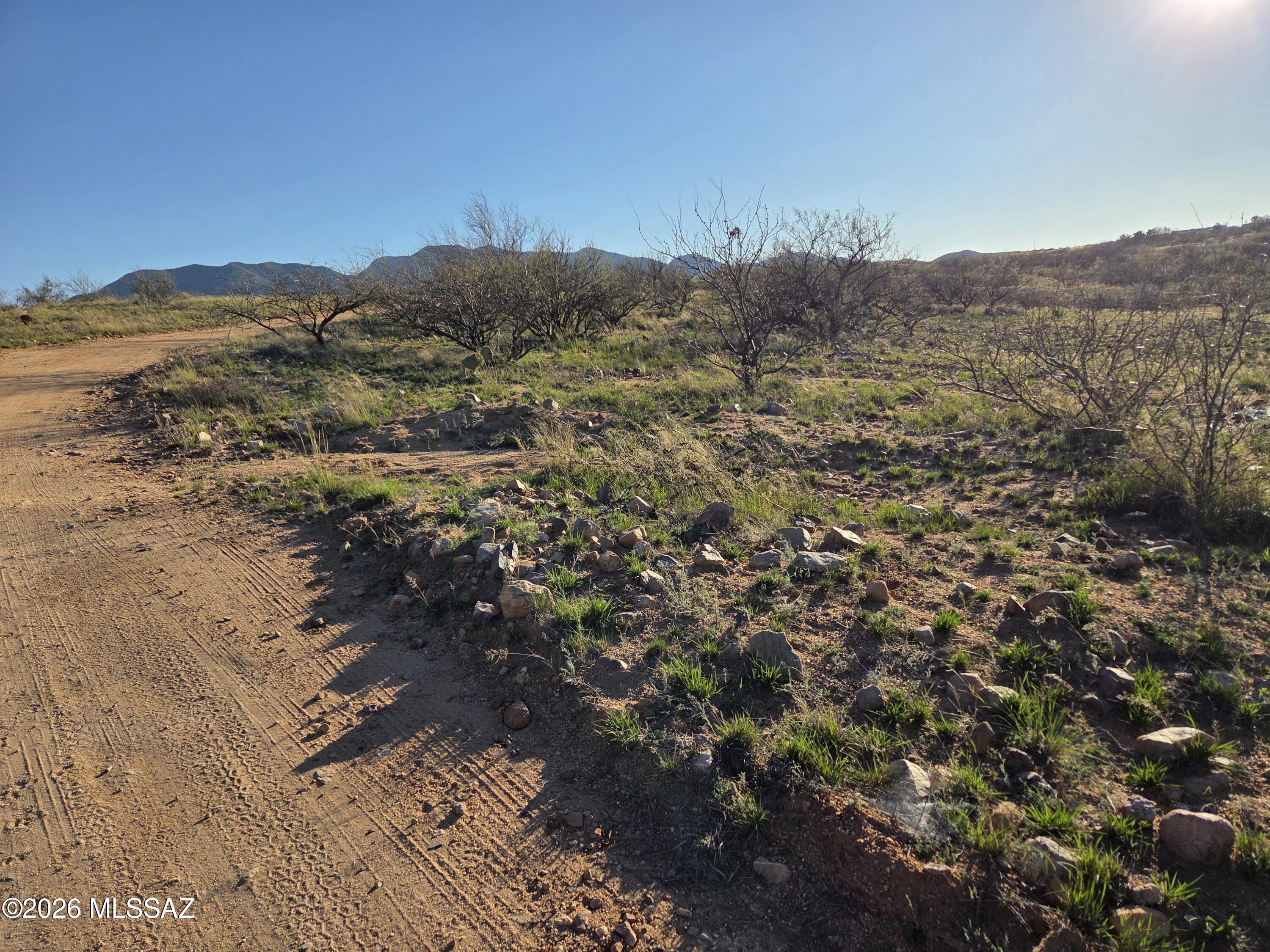 West Canary Spring Road Benson, AZ 85602 - Photo 4 of 10 20260303_170526