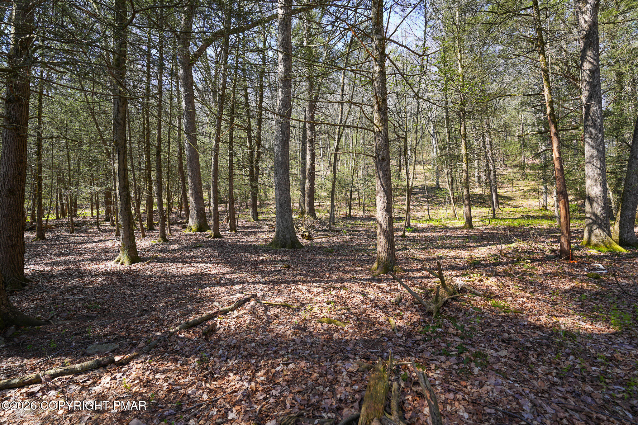 Greenzweig Road Kunkletown, PA 18058 - Photo 11 of 25 a view of outdoor space with deck and trees
