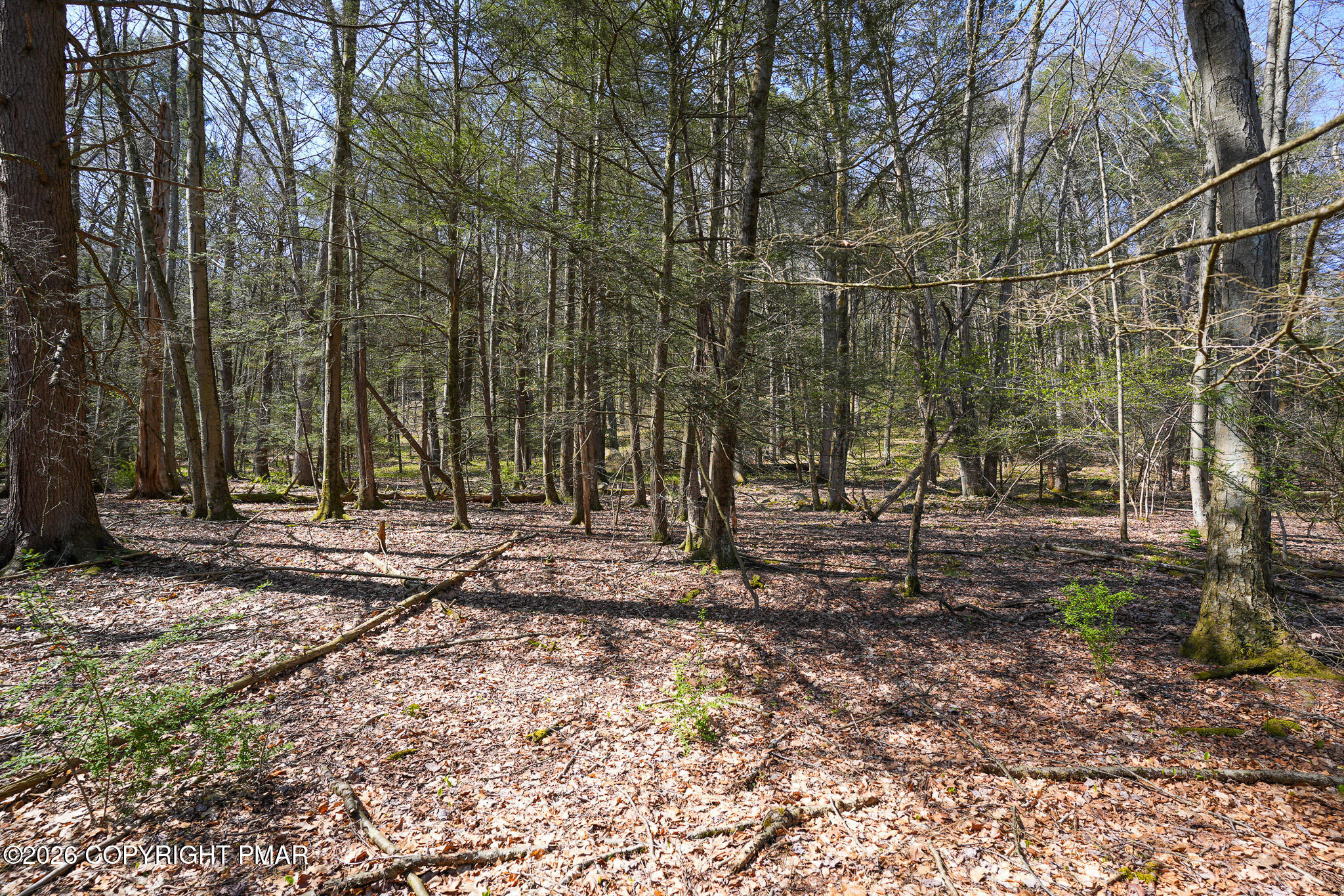 Greenzweig Road Kunkletown, PA 18058 - Photo 13 of 25 a view of a backyard with large trees