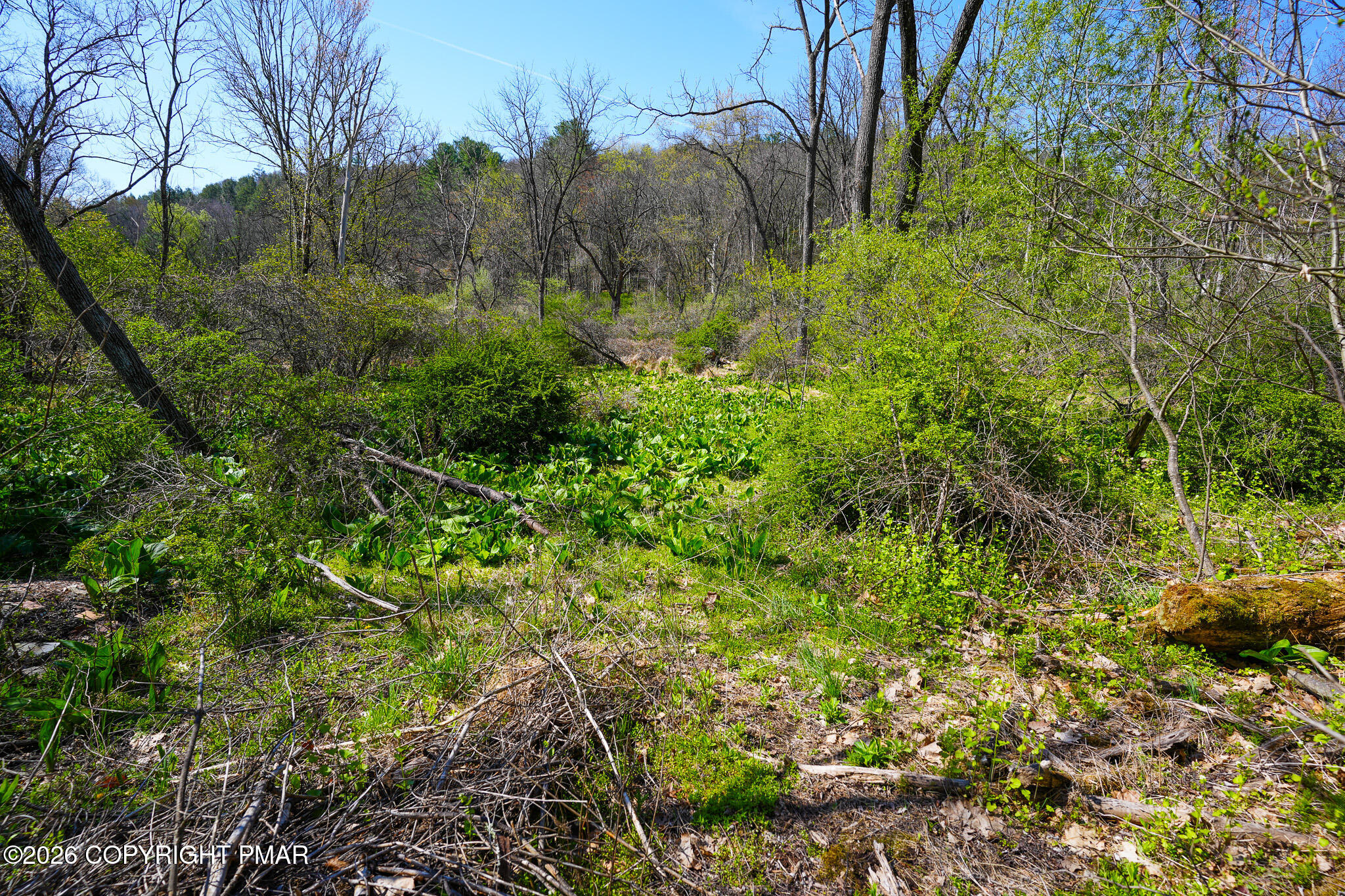 Greenzweig Road Kunkletown, PA 18058 - Photo 4 of 25 a view of a lush green forest