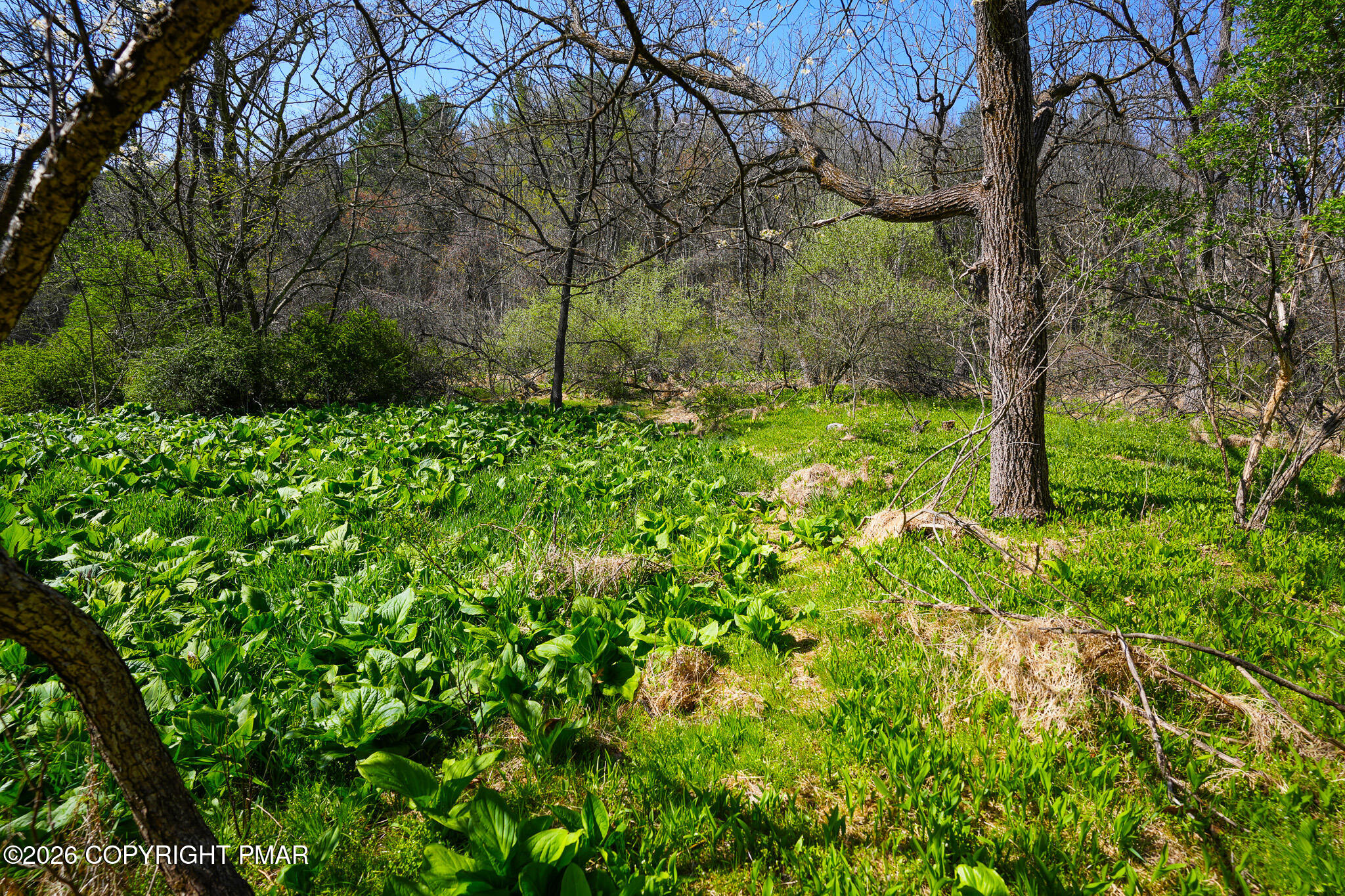 Greenzweig Road Kunkletown, PA 18058 - Photo 6 of 25 a view of a yard