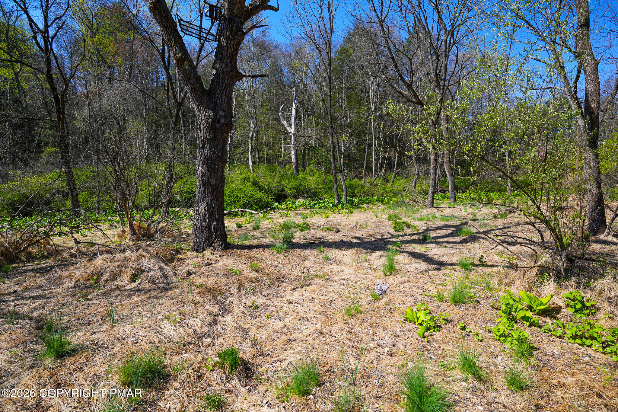 Greenzweig Road Kunkletown, PA 18058 - Photo 7 of 25 a view of outdoor space with trees
