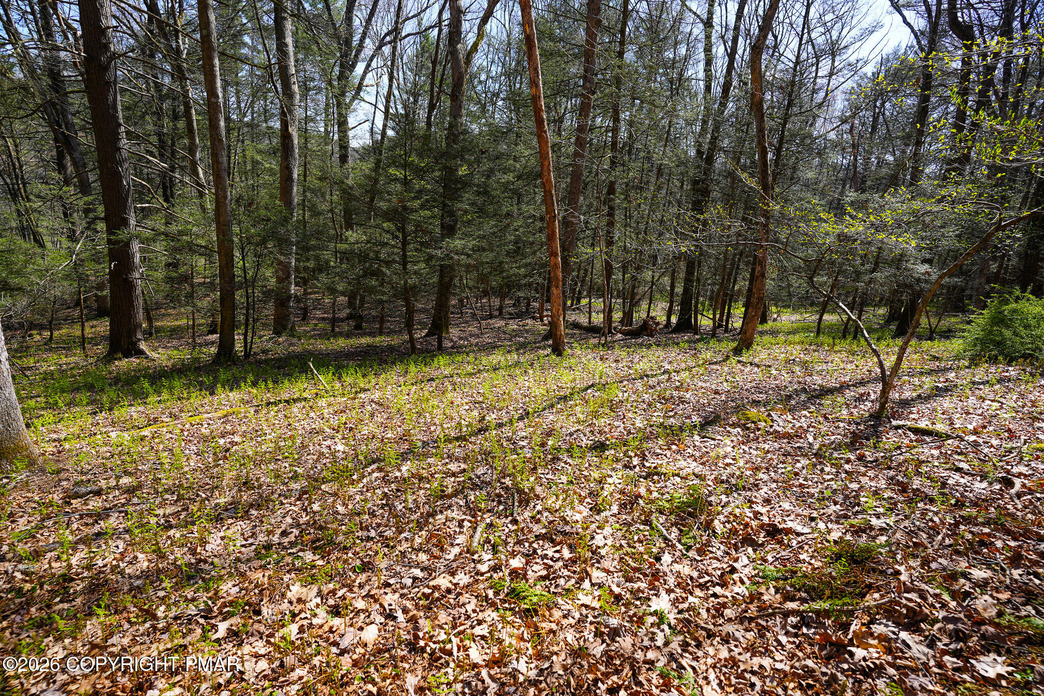 Greenzweig Road Kunkletown, PA 18058 - Photo 9 of 25 a view of a backyard with trees