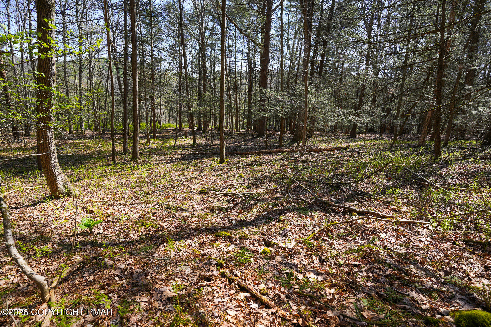 Greenzweig Road Kunkletown, PA 18058 - Photo 10 of 25 a view of backyard with green space