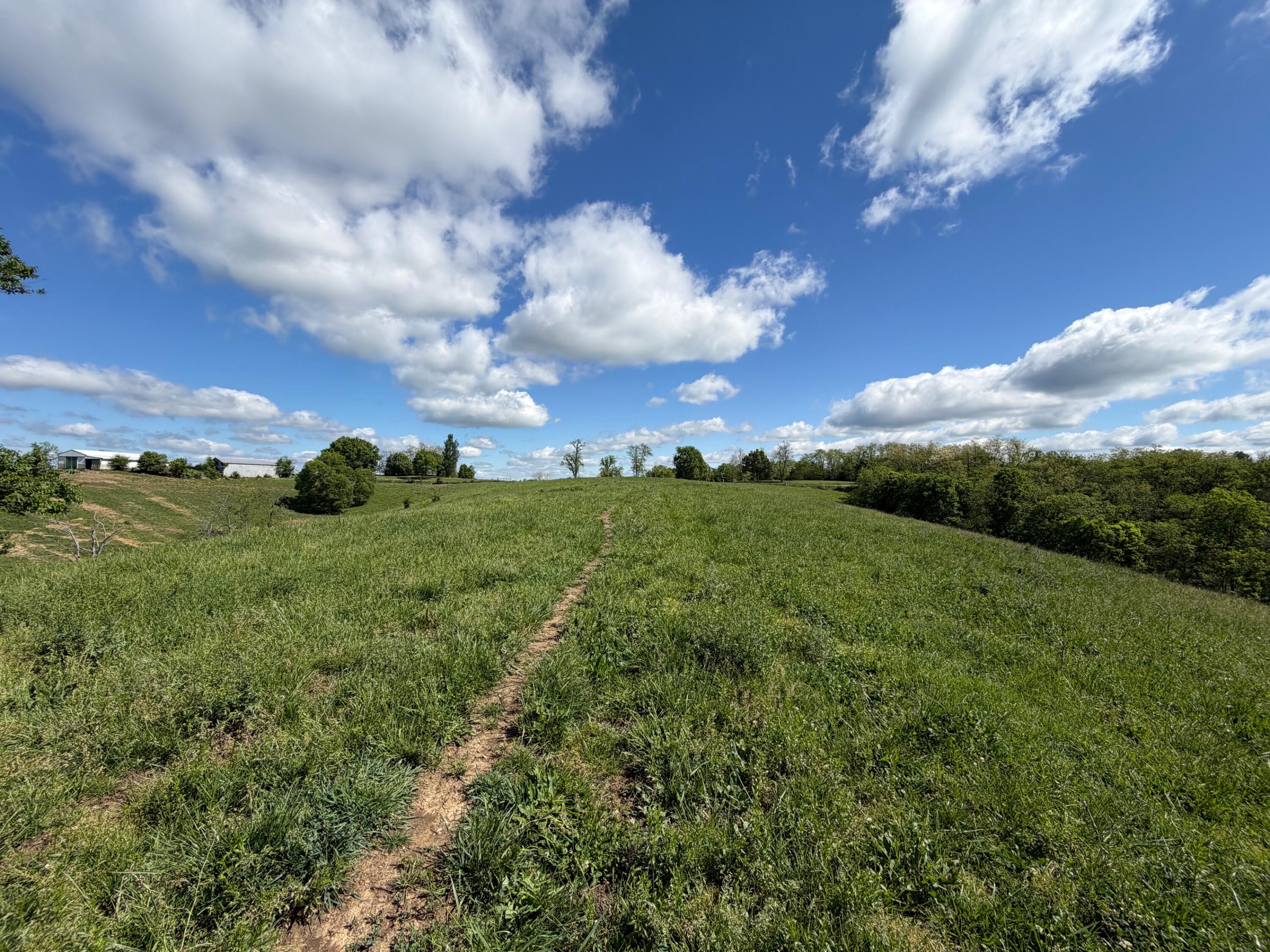 24.81-ac Chipman Ridge Road Williamstown, KY 41097 - Photo 10 of 17